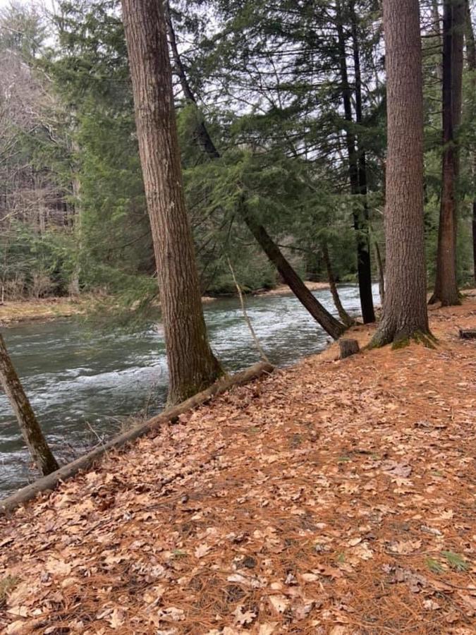 Pine Creek Motel & Campsites Gaines Εξωτερικό φωτογραφία